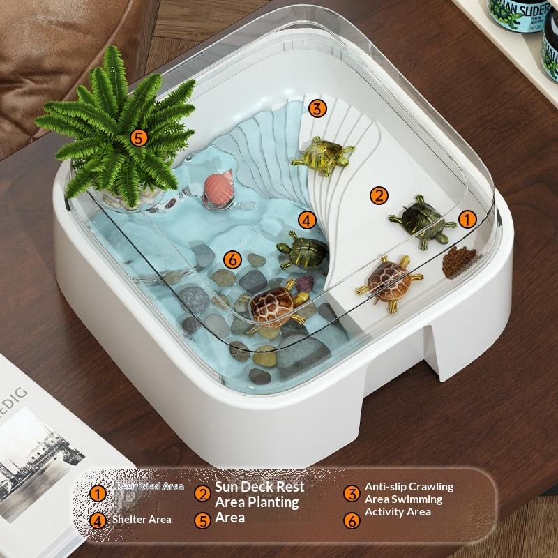 Home Decor Habitat - Novo Tanque Transparente para Tartarugas, Decoração