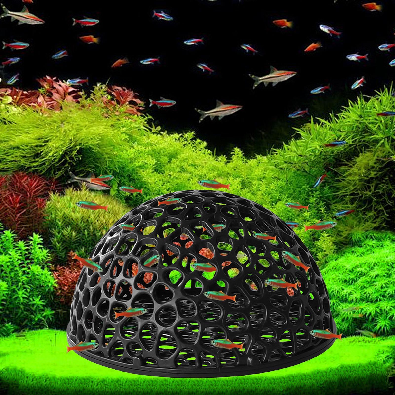 Home Decor Habitat - Esconderijo para Camarões, Caverna para Camarões