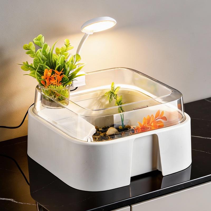 Novo Tanque Transparente para  - Home Decor Habitat avaliação e preço