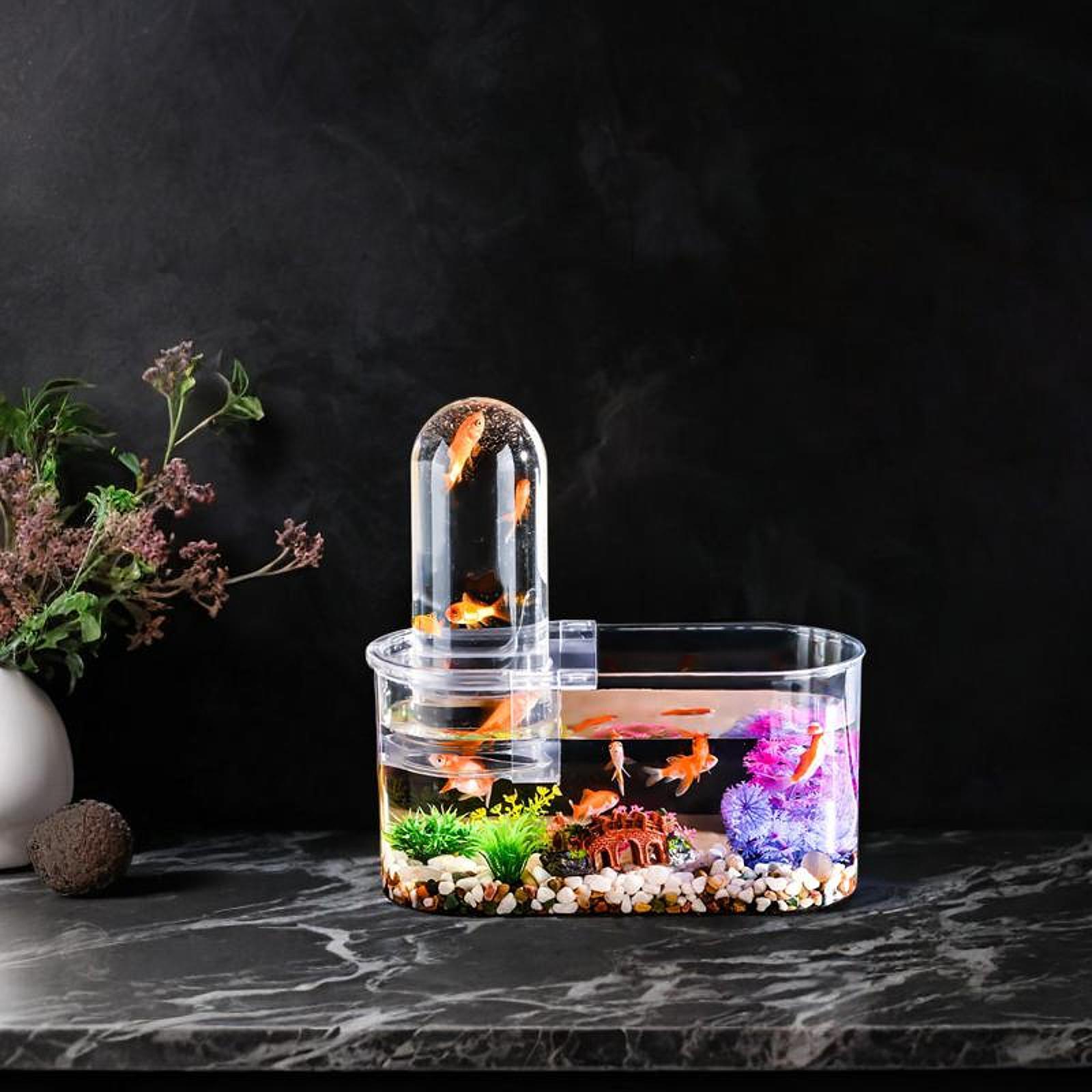 Mini aquário resistente com or - Home Decor Habitat avaliação e preço