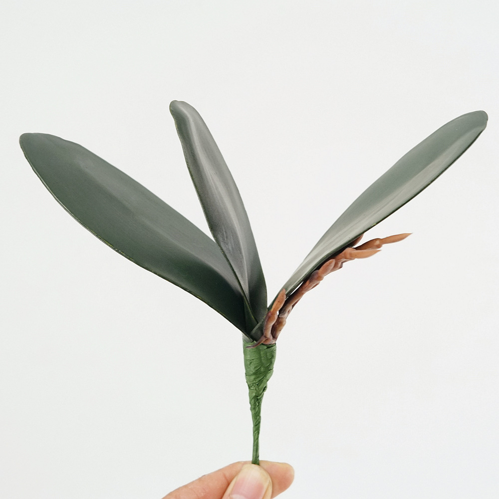 3pc eva simulação phalaenopsis - Home Decor Simulator avaliação e preço