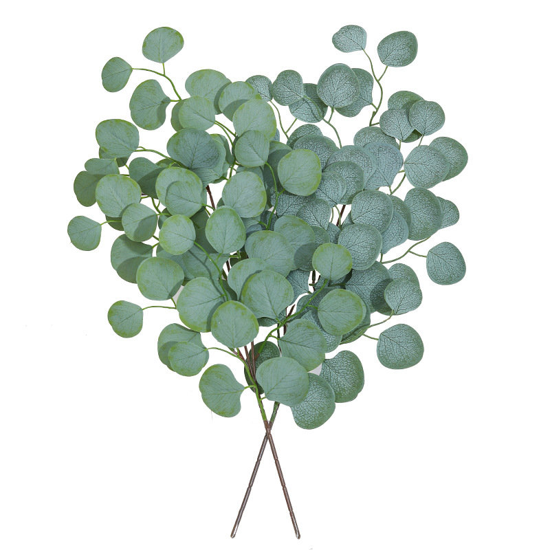 Eucalipto Folha Videira Planta - Home Decor Scrap avaliação e preço