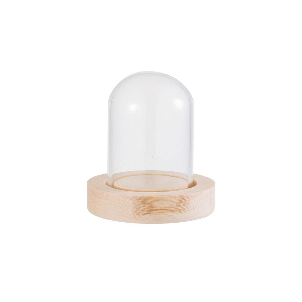 Luzes de Fada para Decoração d - Home Decor Vase avaliação e preço