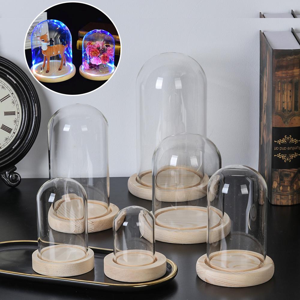 Luzes de Fada para Decoração d - Home Decor Vase avaliação e preço