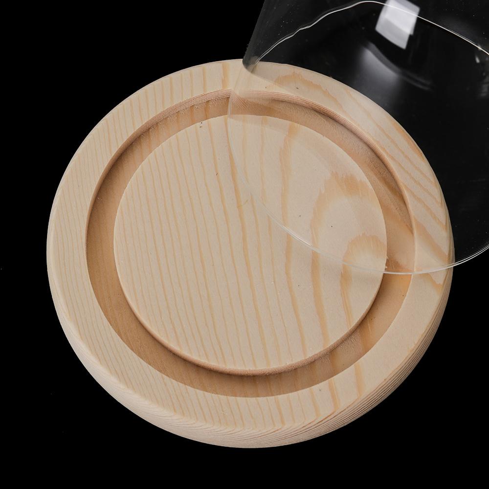 Luzes de Fada para Decoração d - Home Decor Vase avaliação e preço