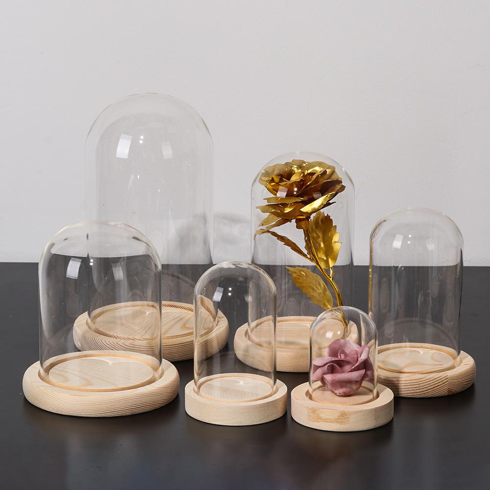 Luzes de Fada para Decoração d - Home Decor Vase avaliação e preço